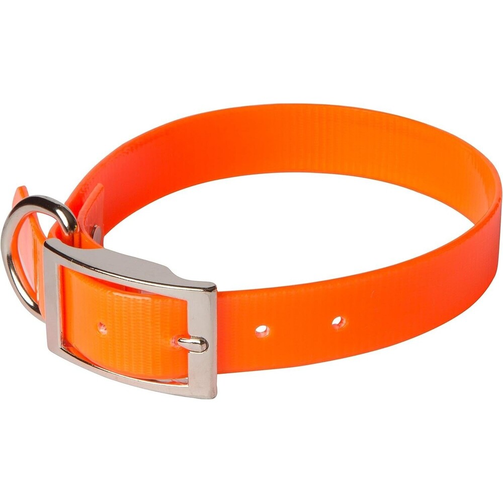 SunGlo Buckle Dog Collar,  1" Wide, Orange, Fits 20.5"- 24" Neck Sizes, Hunting